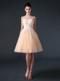 Champagne Modest Knee Length Tulle Prom Formal Dress CC3004